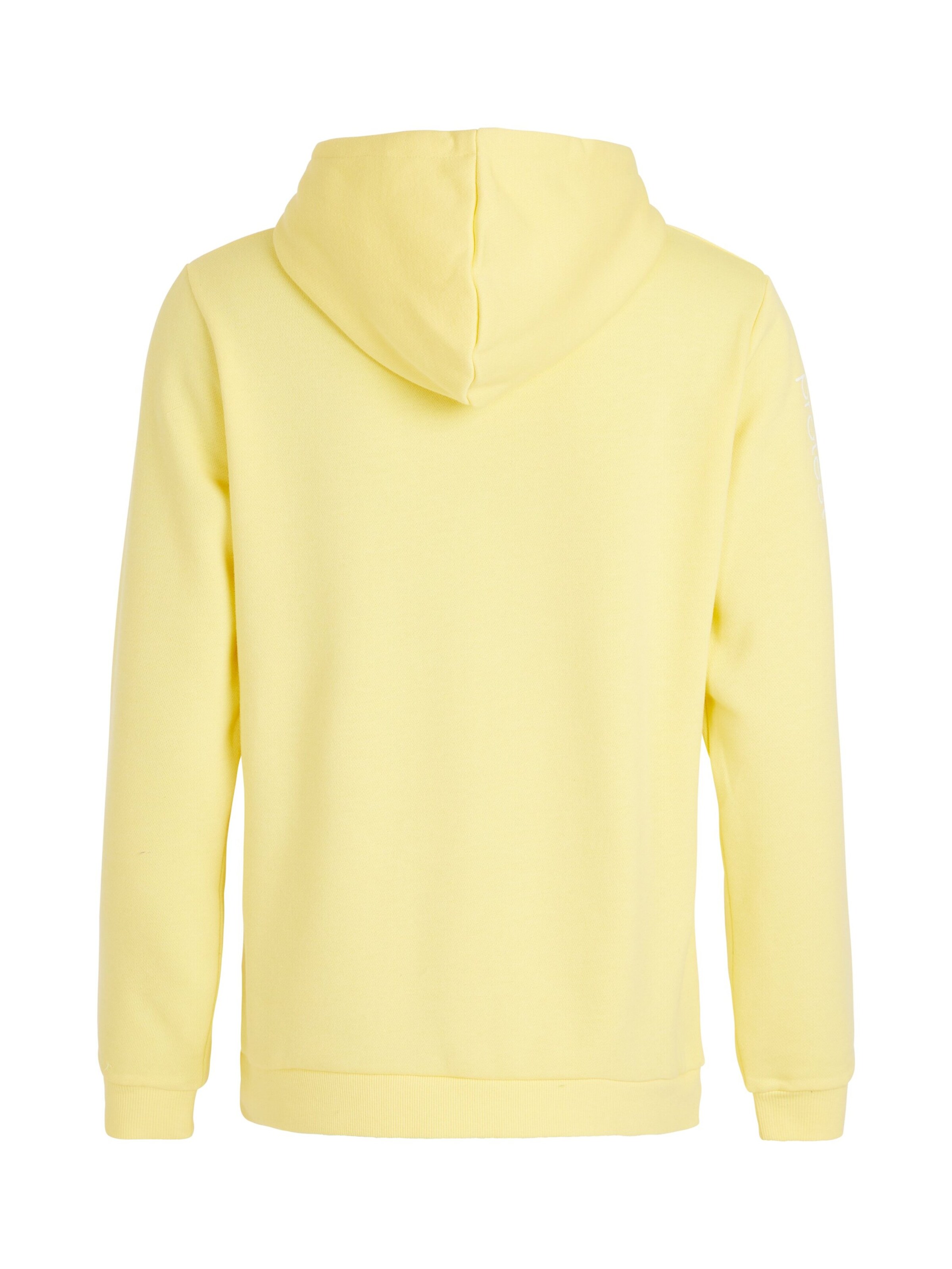 PROTEST Pullover 'CLASSIC LOGO HOODY'‌ in Gelb