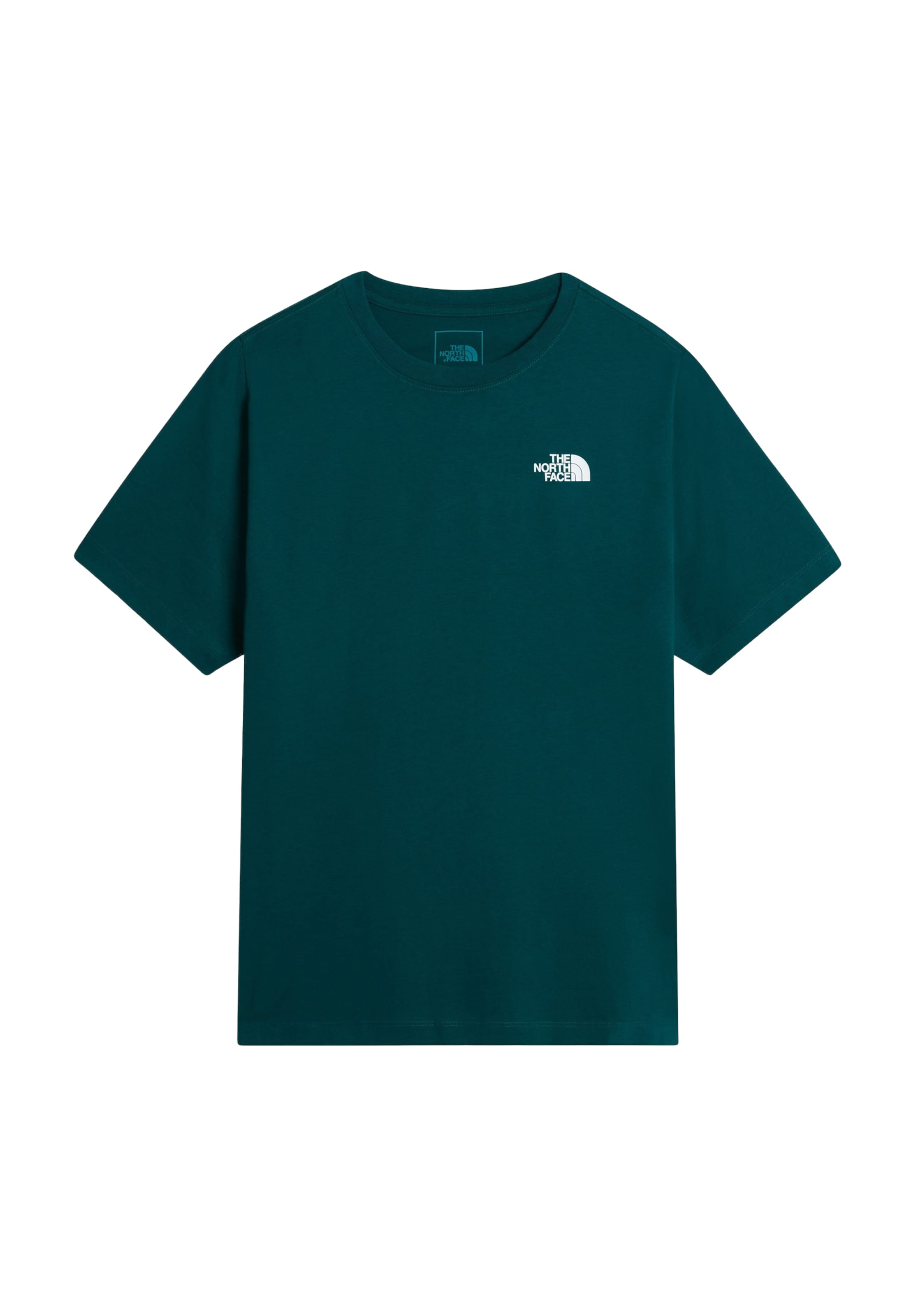 THE NORTH FACE Shirt 'EVOLUTION BOX NSE' in Blue: front