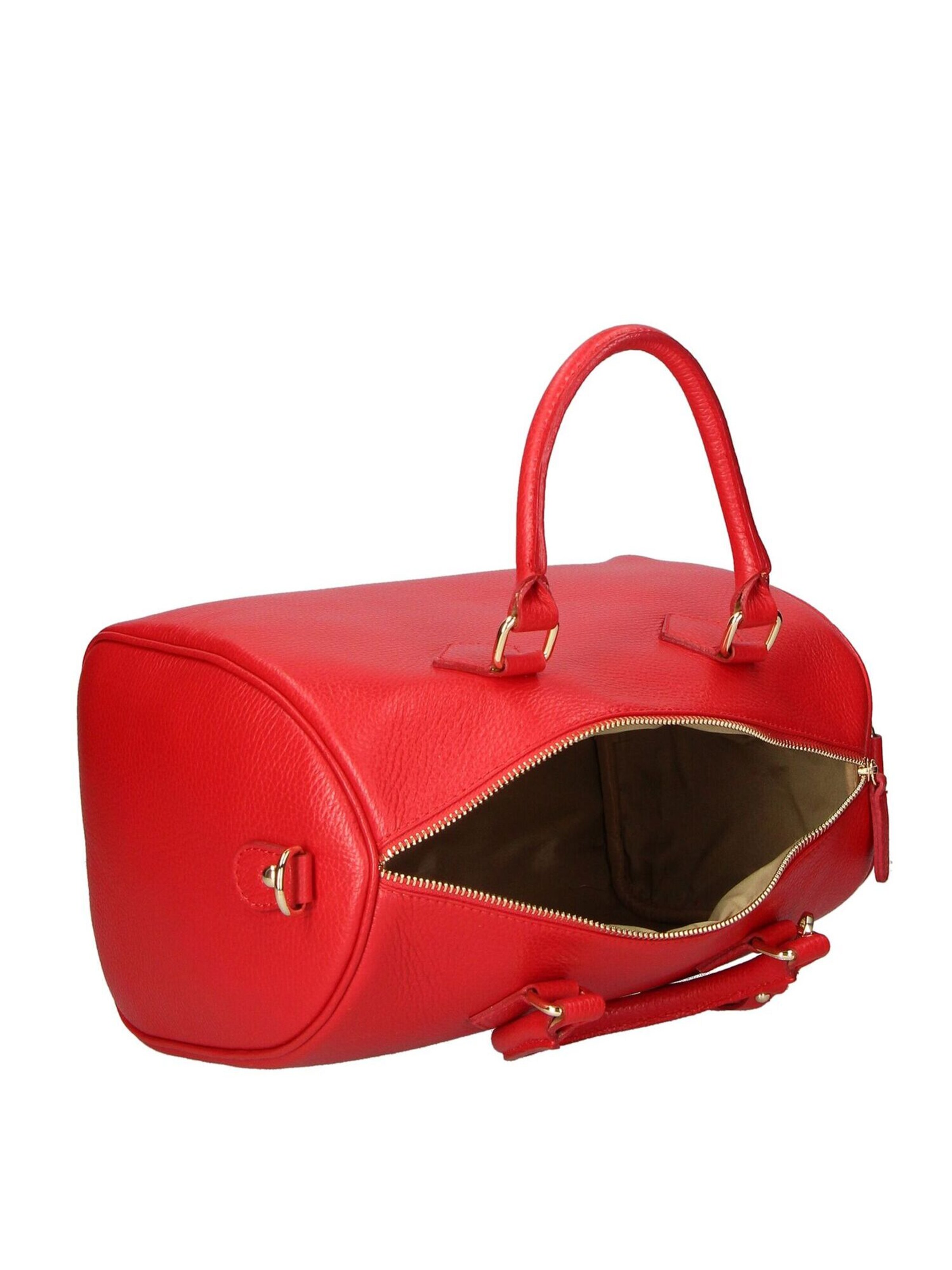 CHICCA BORSE Handbag in Red