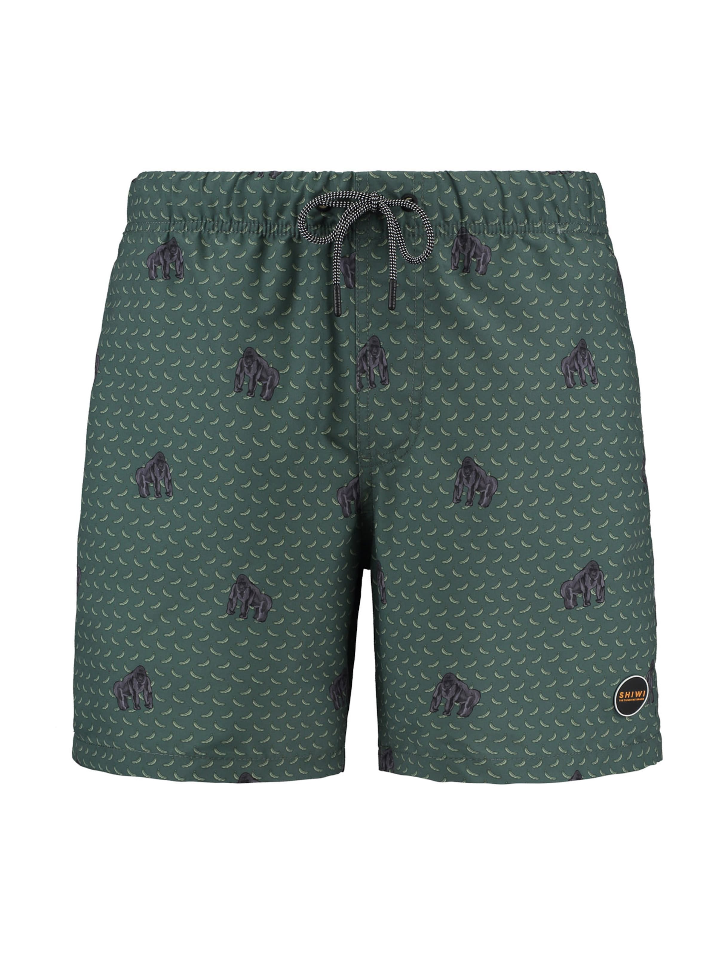 Shiwi Плавательные шорты в Зеленый: спереди
