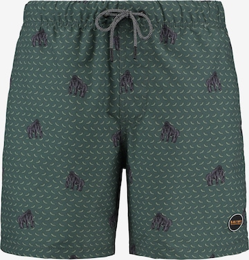 Shorts de bain Shiwi en vert : devant