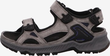 MEPHISTO Sandals in Grey