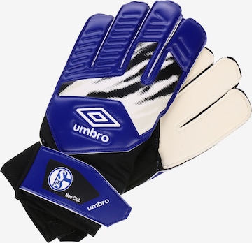 Guanti sportivi 'FC Schalke 04 Neo Club' di UMBRO in blu: frontale