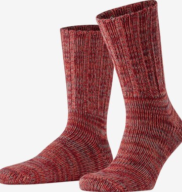 FALKE Socks 'Brooklyn' in Orange: front