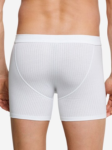 SCHIESSER Boxershorts 'Cotton Essentials Authentic'‌‌‌‌‌ in Weiß