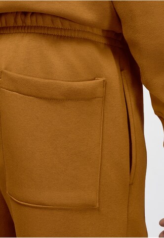 regular Pantaloni sportivi di Jordan in marrone