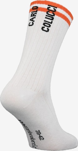 Carlo Colucci Athletic Socks 'Cencherle' in White
