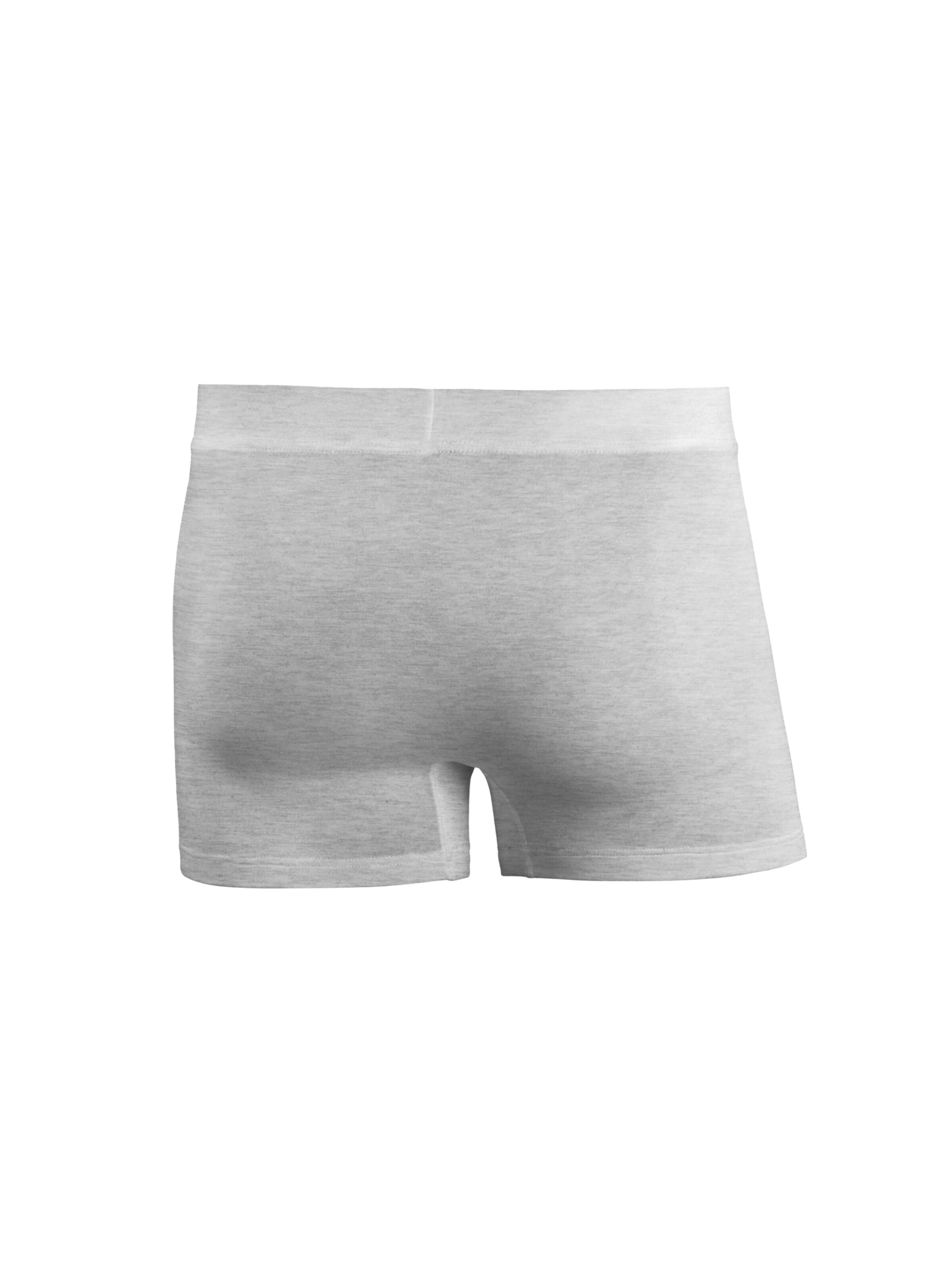 kleiderhelden Boxershorts 'Beatbux 5er'‌ in Grau