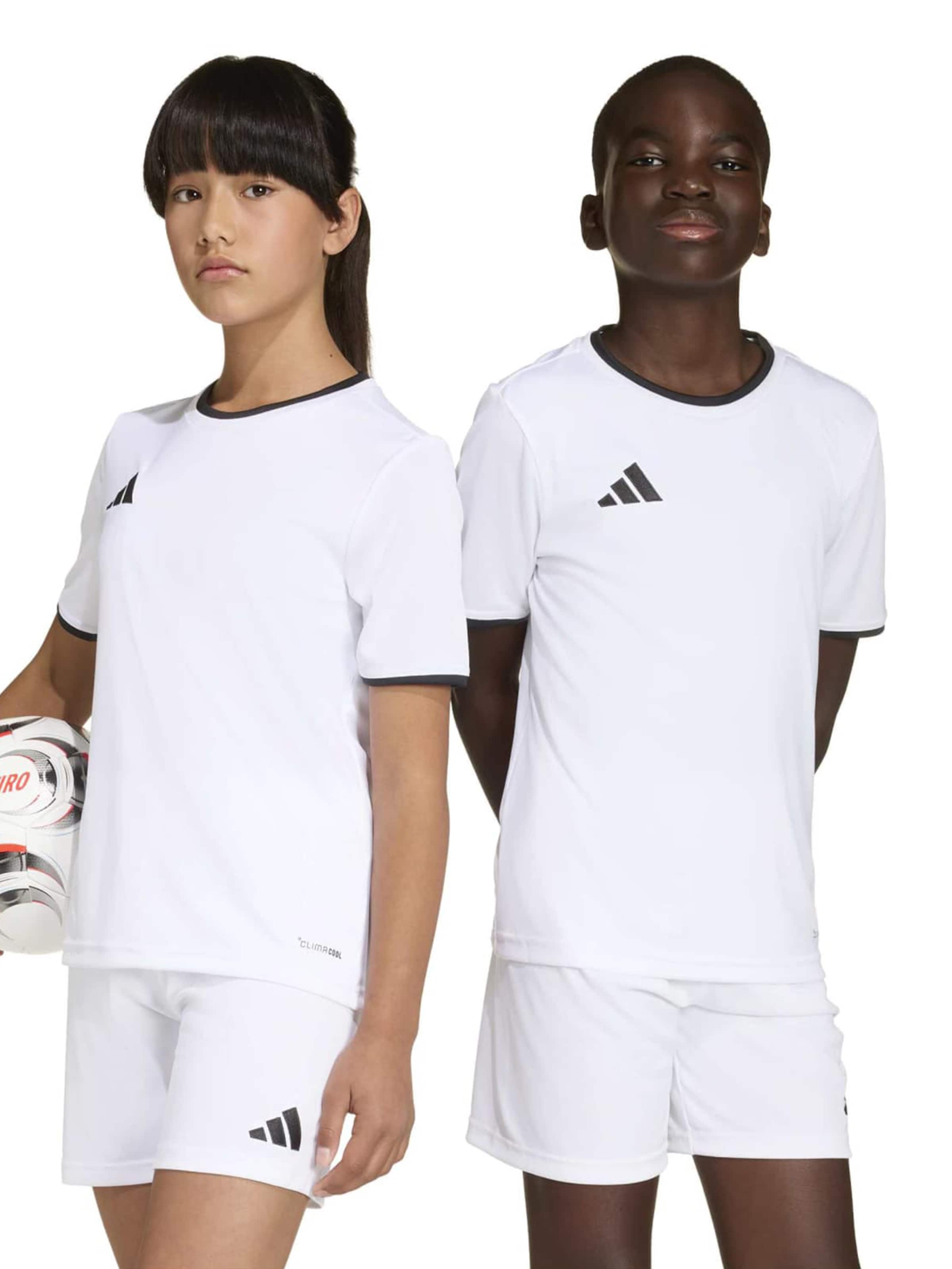 ADIDAS PERFORMANCE Функциональная футболка 'ENT26' в Белый: спереди