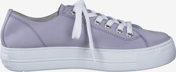 Baskets basses Paul Green en violet