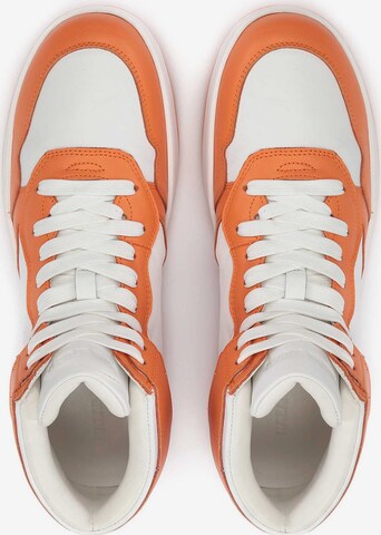 Kazar Studio Sneaker in Orange