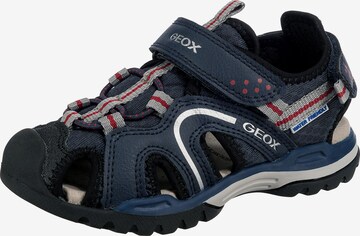 GEOX Sandals & Slippers 'Borealis' in Blue: front