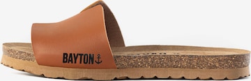 Bayton Šľapky 'DJILIAN' - Hnedá: predná strana