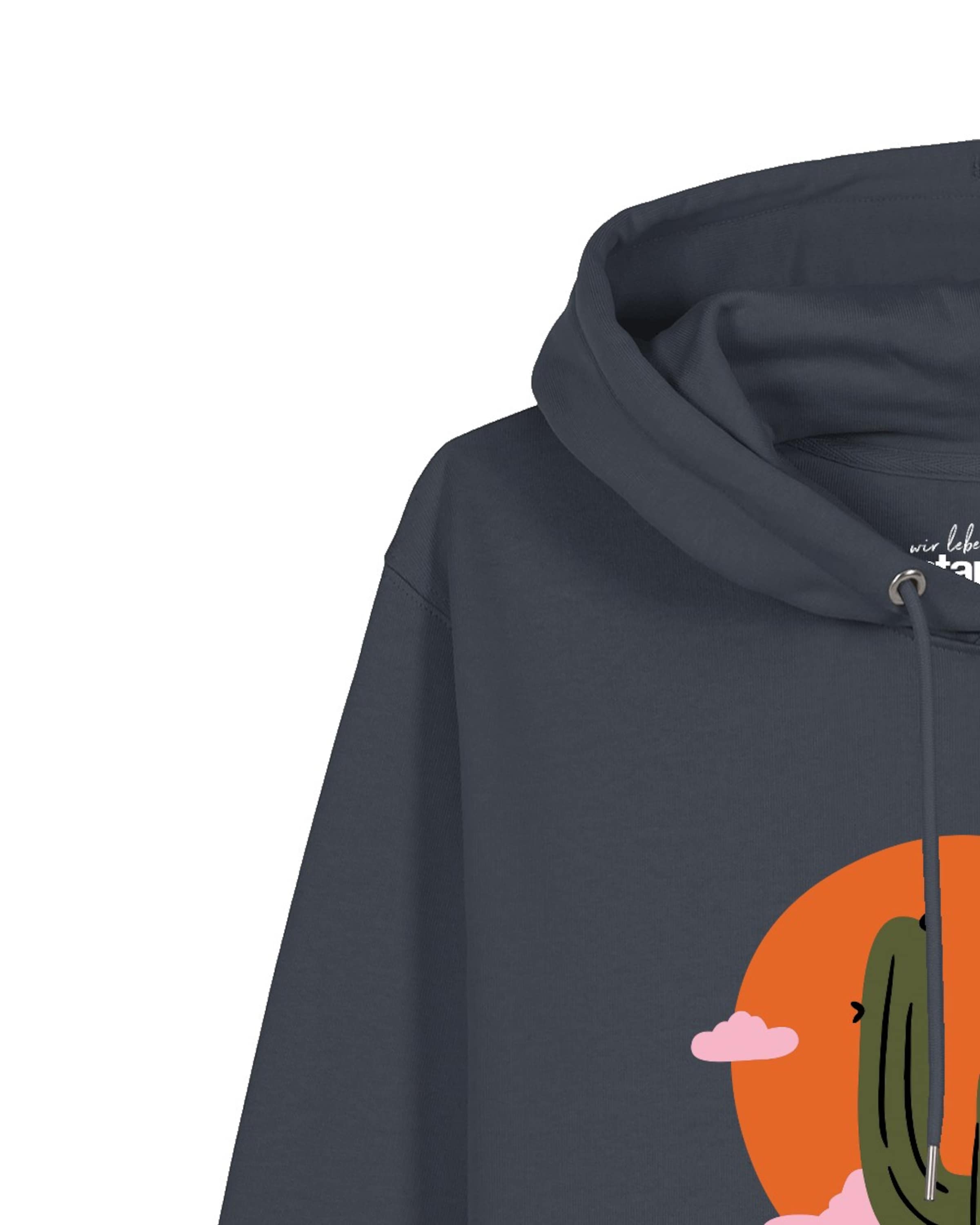 Watapparel Sweatshirt 'Kaktus im Sonnenuntergang' in Grey