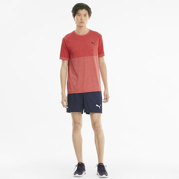 PUMA Regular Sportshorts in Blau