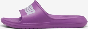 PUMA Beach & Pool Shoes 'Divecat v2' in Purple: front