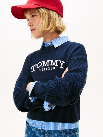 TOMMY HILFIGER Trui in Blauw