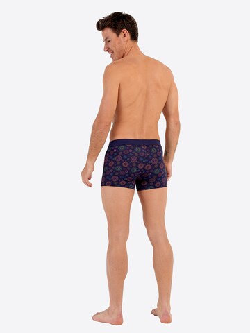 HOM Boxershorts ' Spectra HO1 ' in Blauw
