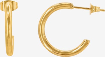 Heideman Earring in Gold: front