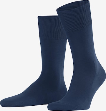 FALKE Socken 'ClimaWool' in Blau: Vorderseite