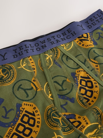 Next Boxershorts in Groen