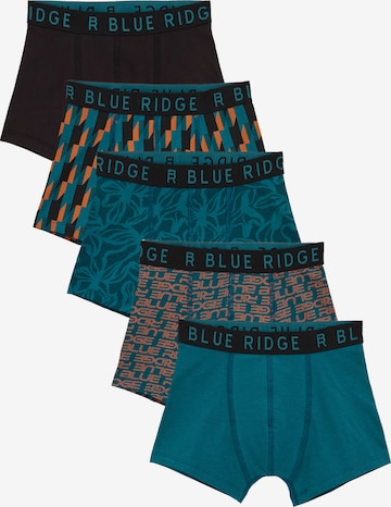 mišri WE Fashion Apatinės kelnaitės: priekis