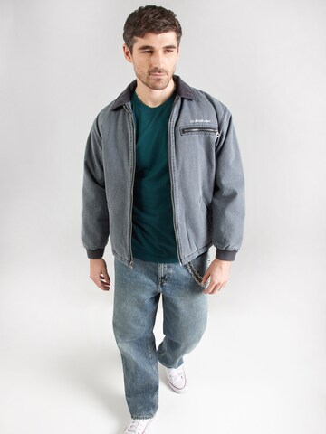 HOLLISTER Shirt in Green