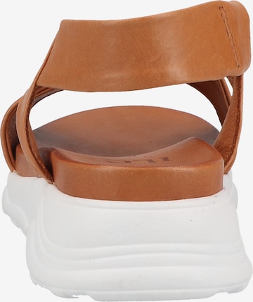 ILC Sandals in Brown