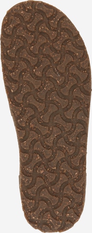 BIRKENSTOCK Обувь на шнуровке 'Utti LEVE' в Серый
