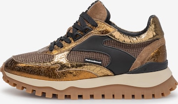 Floris van Bommel Sneakers laag 'Grommi 03' in Goud ABOUT YOU