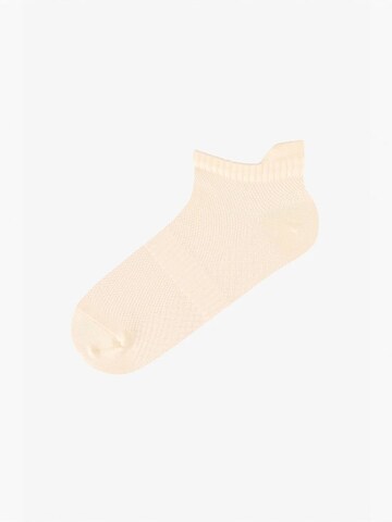 Penti Sukapöiad 'PENTI Fit Back 2er-Pack Sneaker-Socken', värv segavärvid