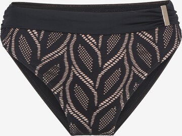 LingaDore Bikini Bottoms in Black: front