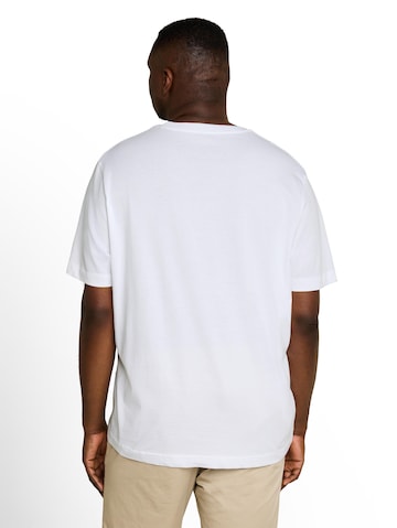TOM TAILOR Men + Shirt in White