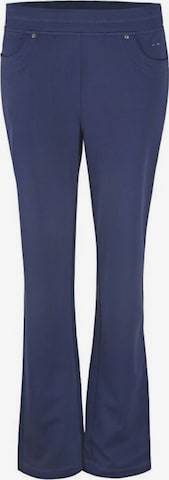 Canyon Slim fit Workout Pants in Blue: front