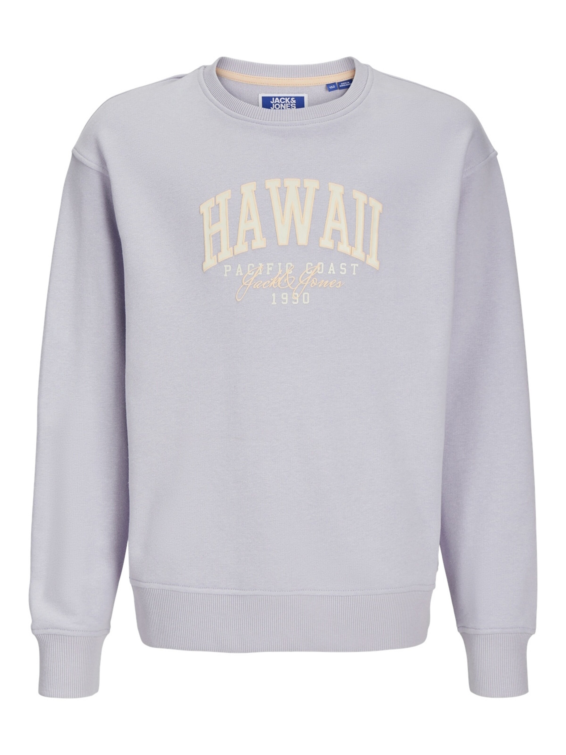 Felpa 'Detroit' di Jack & Jones Junior in lilla: frontale