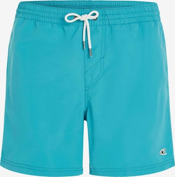 O'NEILL Bathing trunks 'Vert' in Blue: front