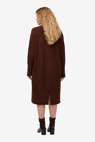 Ulla Popken Knitted dress in Brown