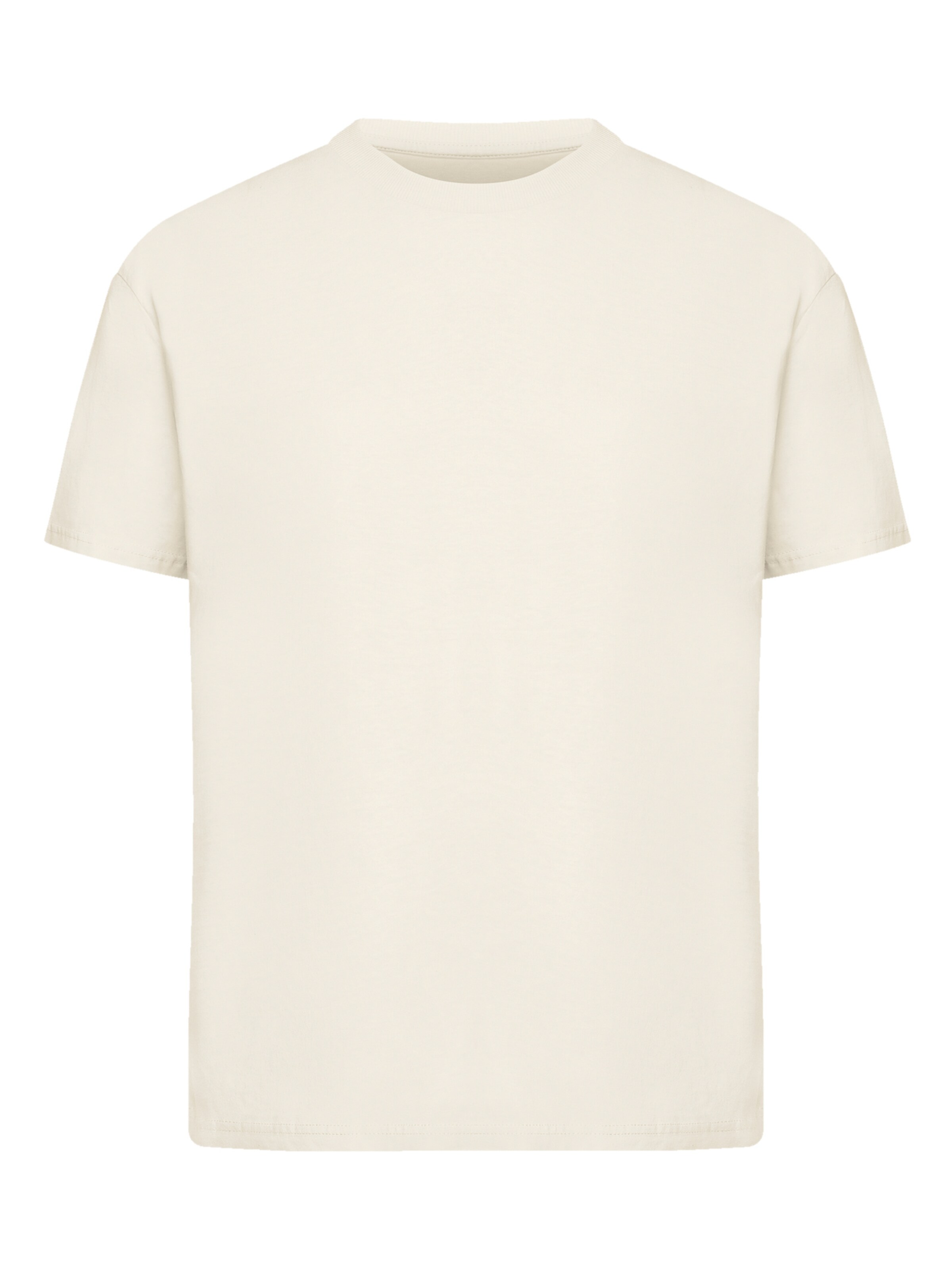 F4NT4STIC Shirt 'Escape Discover the World Tree Birds' in Beige