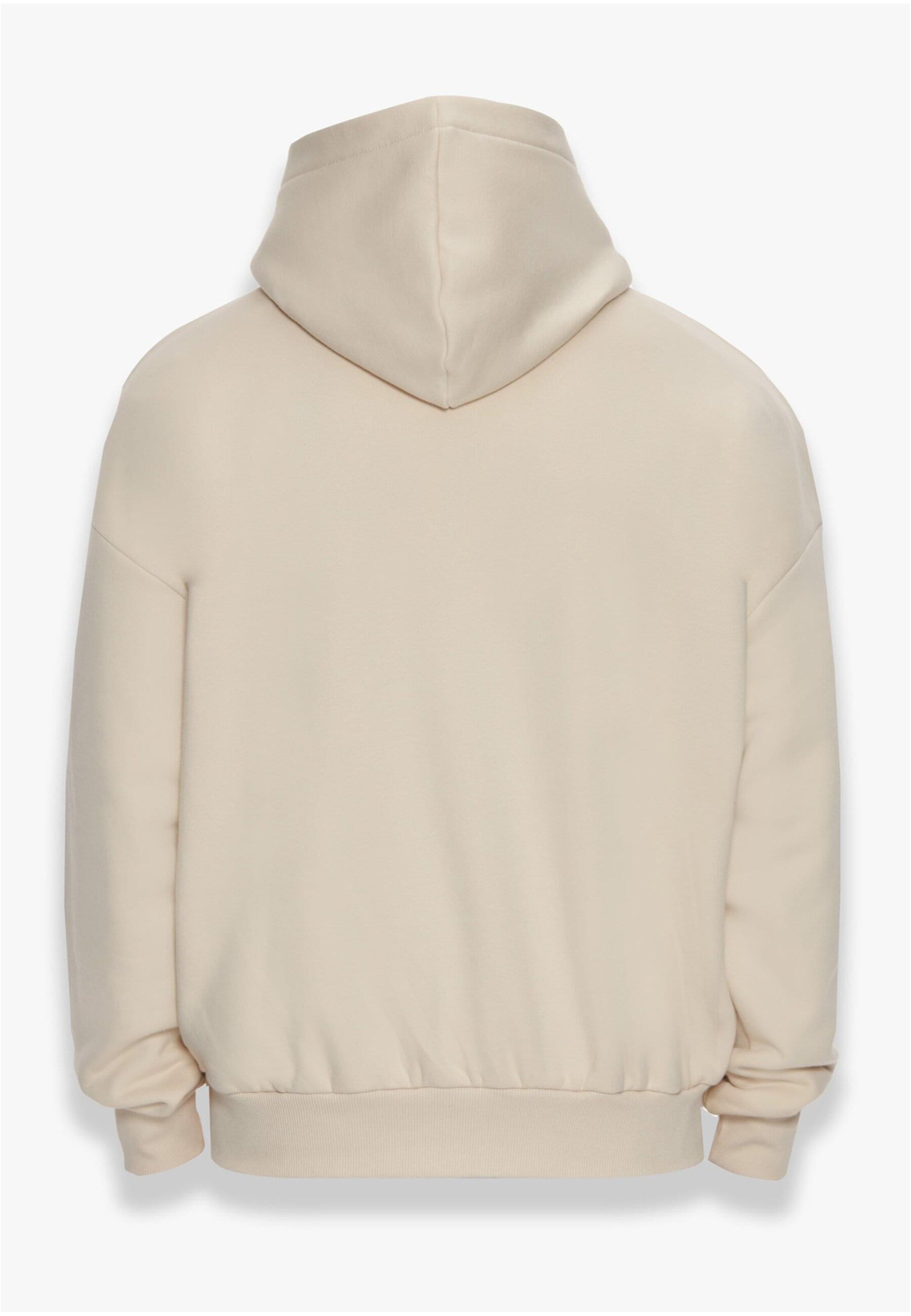 Dropsize Sweatshirt 'Embo' in Beige