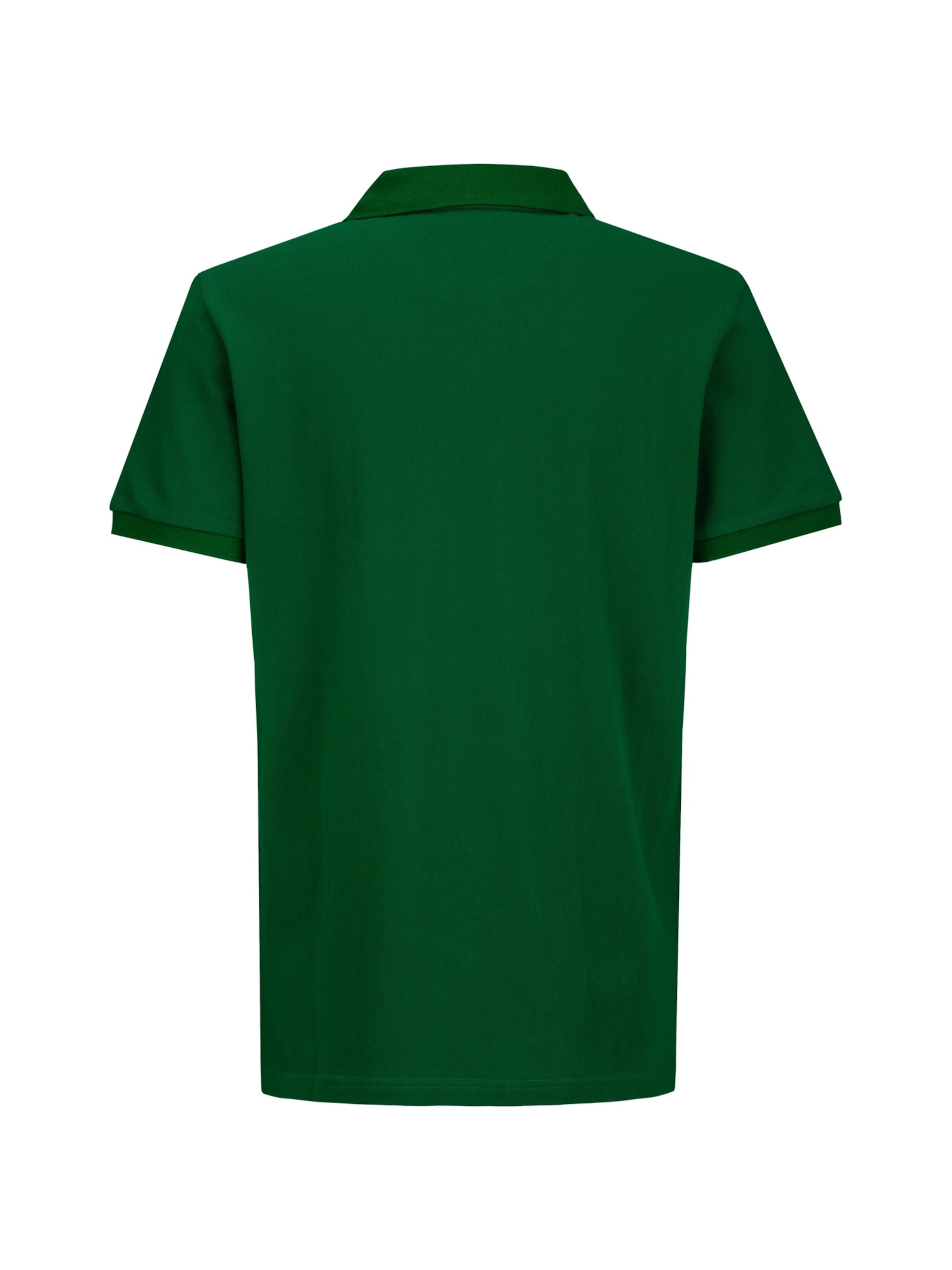19V69 ITALIA Shirt 'EMILIO' in Groen