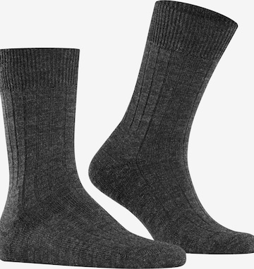 FALKE Socken 'Teppich im Schuh' in Grau: Vorderseite
