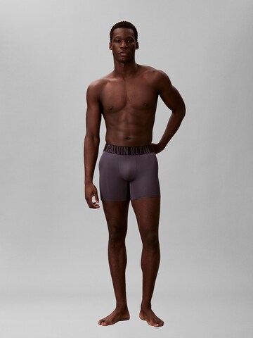 Regular Boxers 'Intense Powe' Calvin Klein Underwear en mélange de couleurs