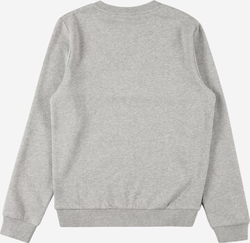 ELLESSE Sweatshirt 'Pavone' in Grey
