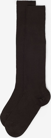 CALZEDONIA Socks in Brown: front