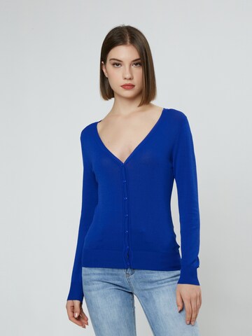 Influencer Gebreid vest in Blauw: voorkant