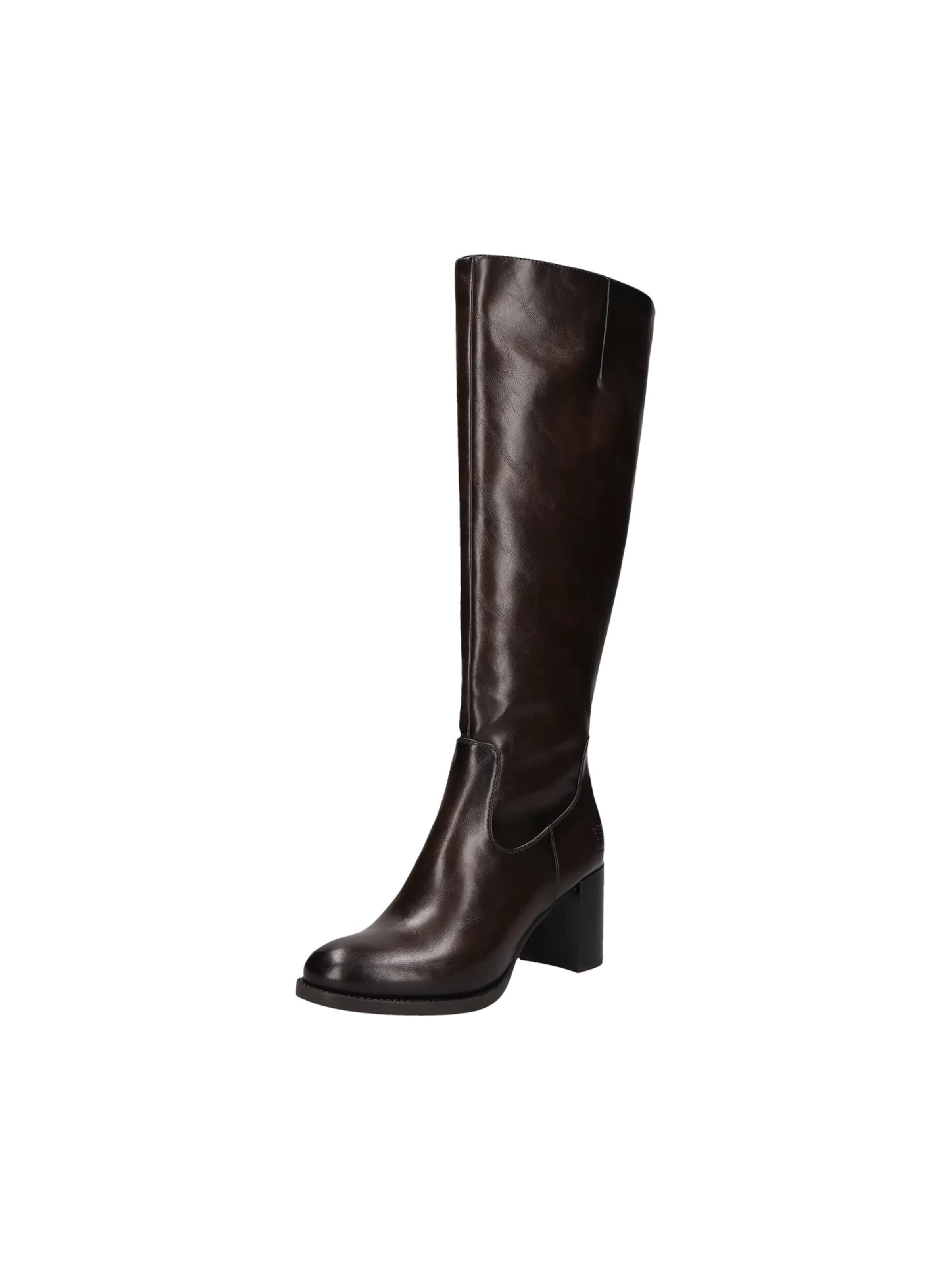 TT. BAGATT Boot in Brown: front