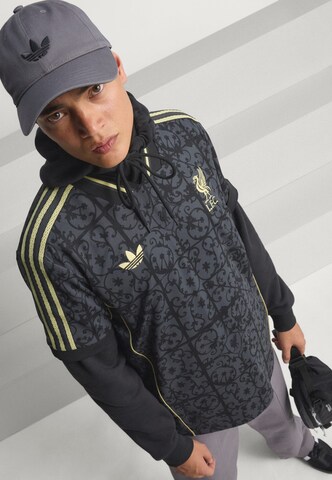 ADIDAS PERFORMANCE Jersey 'Liverpool FC LFSTLR' in Grey
