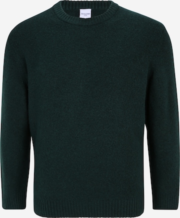 Jack & Jones Plus Pullover 'Ollie' in Grün: predná strana