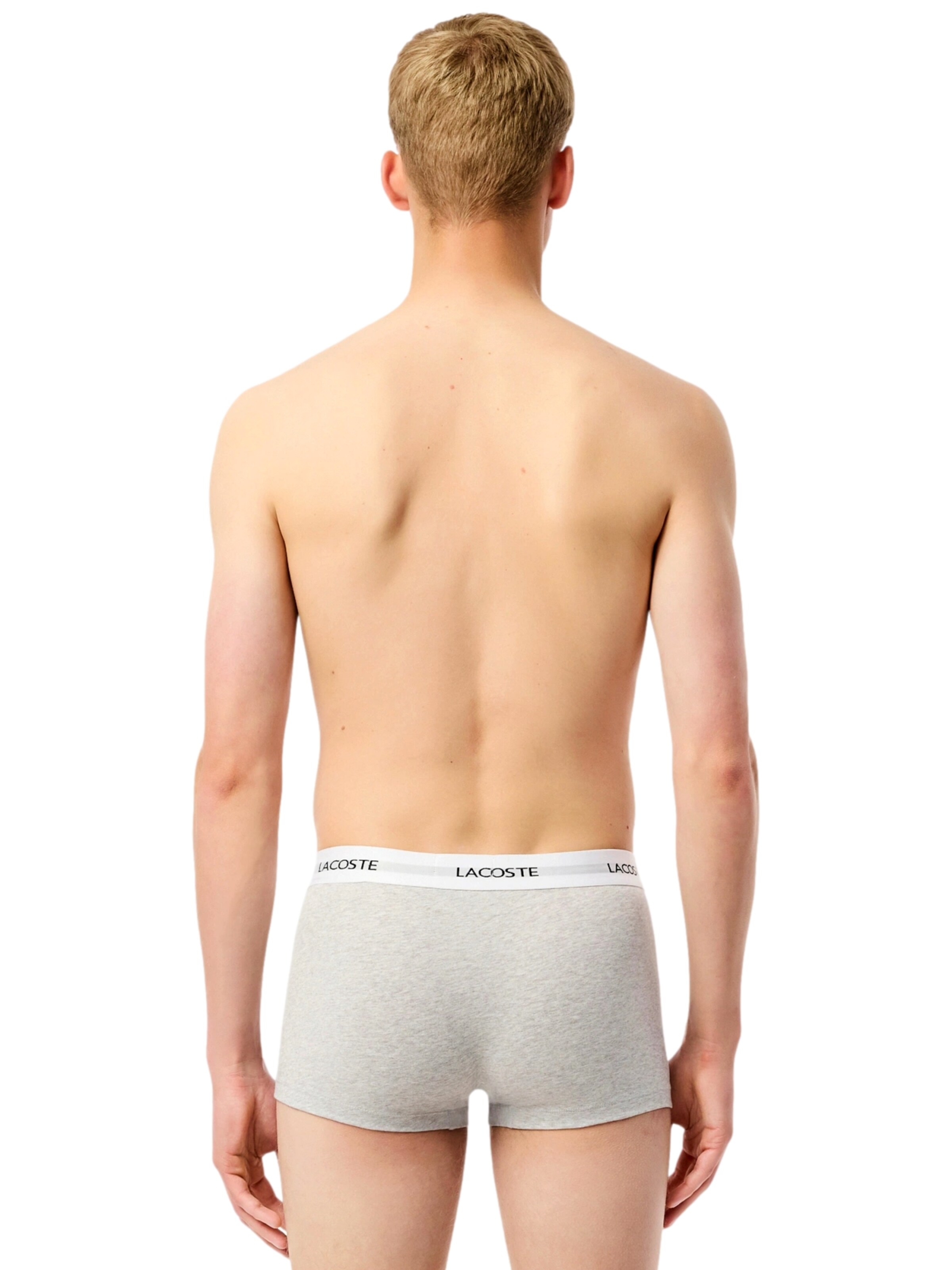 LACOSTE Boxer shorts in Mixed colours