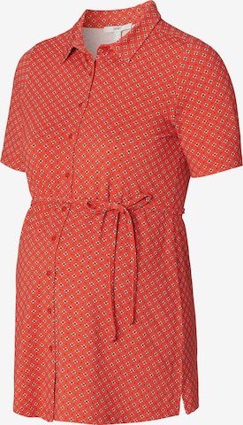 Esprit Maternity Bluse in Rot: predná strana